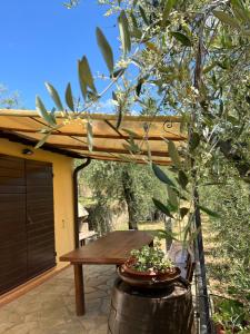 Zahrada ubytování Agriturismo Campo dei Lupi