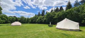 Zahrada ubytování Park Farm Holidays Glamping