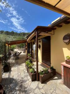 an outdoor patio with a deck with plants at Agriturismo Campo dei Lupi in Vicopisano