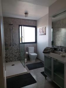 a bathroom with a shower and a sink and a toilet at CASA NAOS in Arrecife