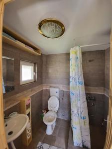 a bathroom with a toilet and a shower curtain at Mountain house WILD GOAT in Žabljak +10 photos