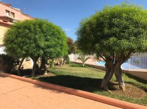 Fotografie z fotogalerie ubytování Oasis del Duque apartment v destinaci Adeje