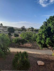 Fotografie z fotogalerie ubytování Oasis del Duque apartment v destinaci Adeje