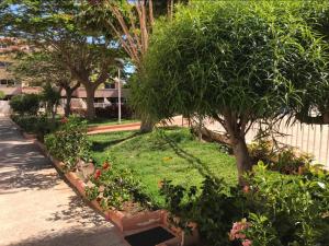 Fotografie z fotogalerie ubytování Oasis del Duque apartment v destinaci Adeje