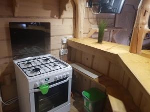 a kitchen with a stove top oven in a house at Domek góralski in Małe Ciche