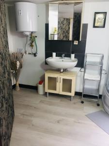 a bathroom with a sink and a mirror at Monteurwohnung, 2 Zimmer, Küche,Bad in Staufenberg