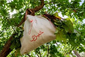 Φωτογραφία από το άλμπουμ του Bakkal Farm Agrolodge στο Μαρακές