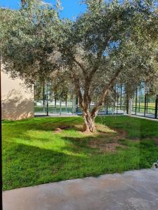 Φωτογραφία από το άλμπουμ του Bakkal Farm Agrolodge στο Μαρακές