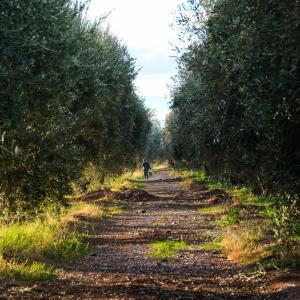 Φωτογραφία από το άλμπουμ του Bakkal Farm Agrolodge στο Μαρακές