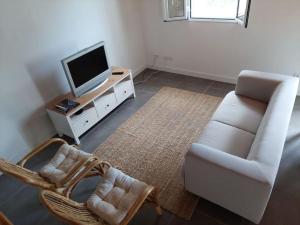 een woonkamer met een bank, een tv en een stoel bij Casa do sanguinho in Fayal da Terra