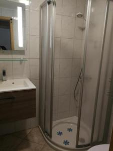 a bathroom with a shower and a sink at Ferienwohnung Mertins in Boltenhagen