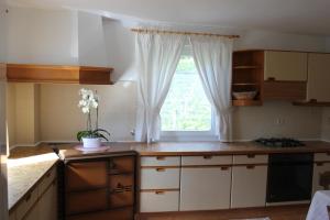 eine Küche mit weißen Schränken und einem Fenster in der Unterkunft Wiesenheim- Unterer Plattenhof "Gartenblick" in Penone