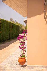 Zahrada ubytování KOUROUTA VILLAS