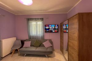 TV a/nebo společenská místnost v ubytování KOUROUTA VILLAS