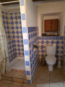 a bathroom with a toilet and a shower at Granja de Matias in Cádiar