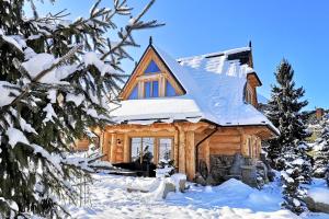 Luxury Chalet Villa Gorsky Hanco & Janso kapag winter