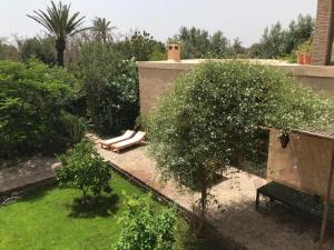 Dar al Hossoun外面的花园