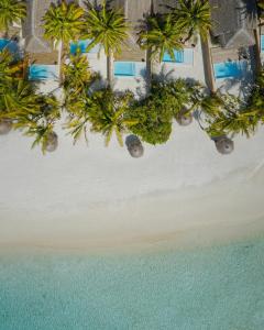 an aerial view of a beach with palm trees at Anantara Dhigu Maldives Resort in South Male Atoll