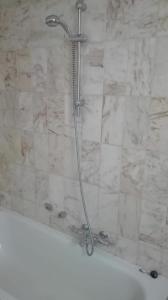 La salle de bains est pourvue d'une douche avec un pommeau de douche. dans l'établissement Hydro Palace, à Ostende