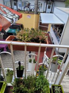 Balkón nebo terasa v ubytování Pension RELAX U Komína