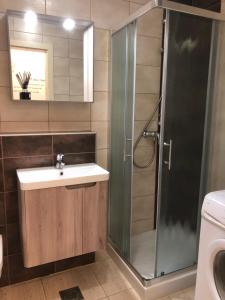 bagno con lavandino e doccia di Apartma Ajda 2 , Jezerska cesta 65, Kranj a Kranj