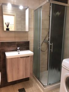 y baño con lavabo y ducha. en Apartma Ajda 2 , Jezerska cesta 65, Kranj, en Kranj