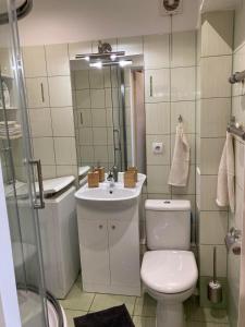 a bathroom with a toilet and a sink and a mirror at Bright & Fresh Studio Near The Sea in Liepāja