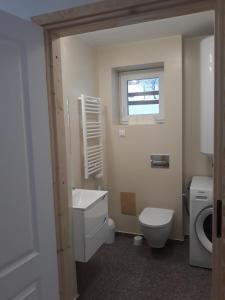 a bathroom with a toilet and a sink and a window at Maślany Domek in Sokolec