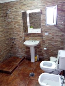 a bathroom with a sink and a toilet and a shower at Los Jazmines in San Salvador de Jujuy