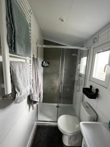 een badkamer met een douche, een toilet en een wastafel bij Polderhuisje 1 - Heerlijk chalet met overkapt terras en 2 slaapkamers - max 4 pers - 3 km van Noordzee - locatie op camping 1 in Rockanje