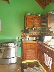 Η κουζίνα ή μικρή κουζίνα στο Seawind Cottage Authentic St.Lucian Accommodation near Plantation Beach