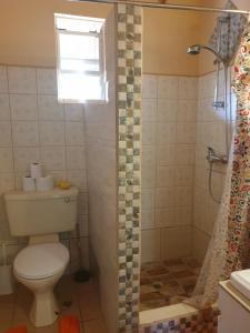 Ένα μπάνιο στο Seawind Cottage Authentic St.Lucian Accommodation near Plantation Beach