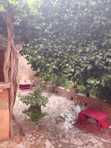 un giardino con albero, tavolo e panca di Riad Atlas Berbère a Boumalne Dades