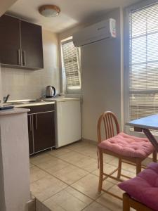 Kuchyň nebo kuchyňský kout v ubytování Apartment Plazza Rafailovici