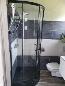 a glass shower in a bathroom with a toilet at Pokoje przy Zamku in Podzamcze