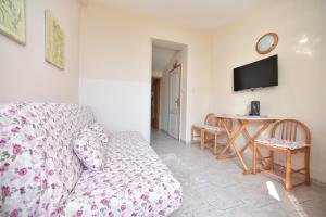 TV a/nebo společenská místnost v ubytování Apartment Plazza Rafailovici