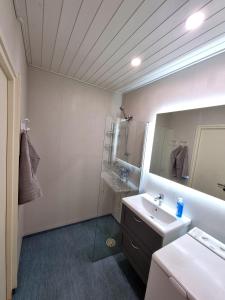 La salle de bains est pourvue d'un lavabo, d'une douche et d'un miroir. dans l'établissement Mäntylinna, à Savonlinna