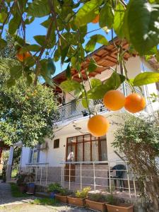 Gallery image of Cirali Irmak Hotel in Cıralı