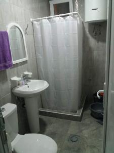 uma casa de banho com um WC, um lavatório e um chuveiro em Apartment’s Maric - Zelenika,Herceg Novi em Zelenika