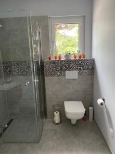 e bagno con doccia, servizi igienici e finestra. di Schönes Privatzimmer Region Hannover a Springe