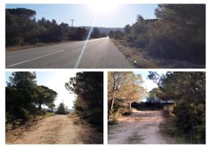 Paesaggio naturale nelle vicinanze della casa vacanze