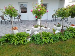 Zahrada ubytování Išić apartmani