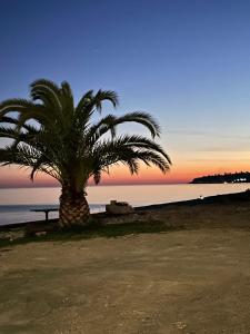 una palmera en la playa con la puesta de sol en At Alla's en Novy Afon