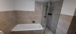 Ένα μπάνιο στο Ferienwohnung Seelust +12 φωτογραφίες