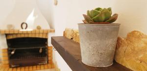 una planta en un jarrón en un estante junto a una chimenea en Estrelinha da Fuzeta, en Fuseta