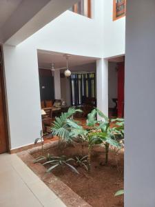 Fotografie z fotogalerie ubytování Casa de Julio v destinaci Porvorim