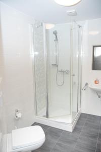 a bathroom with a shower and a toilet and a sink at Hotel Fulda in Hannoversch Münden