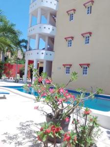 ein Hotel mit einem Pool und einem Gebäude in der Unterkunft Los Angeles en el Paraiso in San Patricio - Melaque