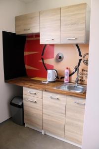 Kuchyň nebo kuchyňský kout v ubytování Dluhonska Apartments
