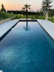 une grande piscine bleue avec un palmier en arrière-plan dans l'établissement Villa Fai Bei Sogni-Green Bed & Breakfast, à Coriano